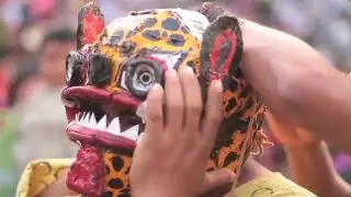 Mexican Tiger Fighting for Rain God