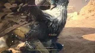 Dragon's Dogma 2_20260116072402
