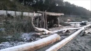 Beach Log Cabin