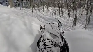 U.P of Michigan Backcountry Snowmobiling 2019