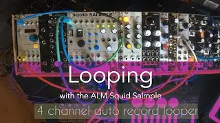 ALM Squid Salmple &ndash;&nbsp; 4 Channel auto record looper