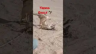 #subscribetomychannel #like #itsvideo