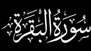 Suratul Baqarah 1-5 verses | Daily One page Quran | @Traslatedforyou @ElafTube 
