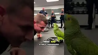 🦜 &ldquo;Too Much Breathing, Not Enough Pushing!&rdquo; 💀 | Parrot Becomes Police Drill Sergeant | Shock Lens
