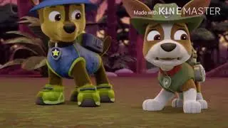 Tracker Tribute