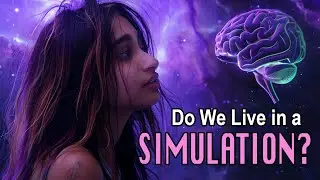 Do we live in a simulation? The boltzmann brain theory
