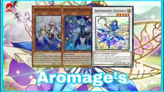 Competitive Aromage's Deck VS Resonator, Harpie, Thundra & Blue Eyes!!!!