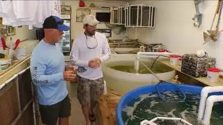 Serenity Bait Company- Bait 2016 | Chevy Florida Insider Fishing Report - Season 12, Episode 7