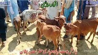 Atwar mandi punjab city haroonabad ki zero size bachday new video fresh rate