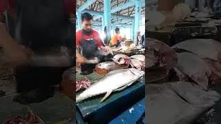 Tuna Giant Cut Live at Sorong Fish Market &ndash; Must‑See Reel!