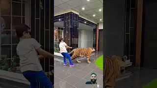 Naughty kid walking with beautiful tiger #shorts #dubai #tiger#india #shortvideo