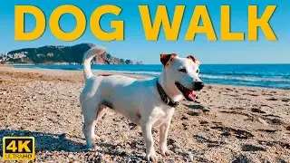 Adriatic Dog Beach Walk  🐾 | Adriatic  Calm Backgroun for Dogs Left Alone | 4К