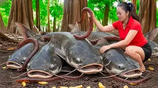 Harvesting Giant Monster Fish & Go to Market Sell | digging giant earthworms for fishing