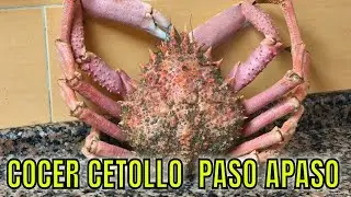 MARISCO PARA  SEMANA SANTA(COMO SE COCINA EL CENTOLLO)