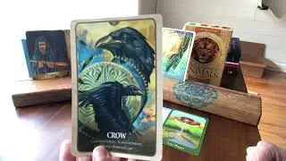 DIVINE FEMININE ~ THIS IS A TEST OF ALL TESTS. ARE YOU GOING TO LET THEM TELL YOU WHO YOU ARE?