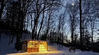 Cheap Mini slab wood barn build 
