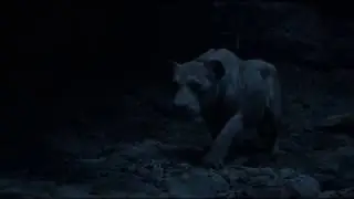 The Lion King (2019) Nala Escapes from The Pride Rock HD
