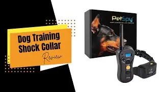 Training Your Dog Safely with PetSpy Dog Shock Collar | Review
