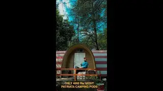 PATRIATA CAMPING PODS at Highest Point of Punjab (7800 ft) #Patriata #newmurree  #beingatraveler