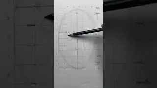 Face proportions made easy. 👱&zwj;♂️ Drawing lesson on face proportions. #drawinglesson #proportions