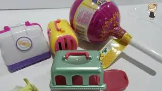 Pet Surprises! Doc MCstuffins Surprise! Pikme Pops!