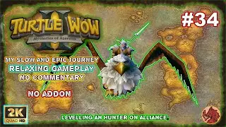 Turtle WoW: My Slow and Epic Journey ! Alliance Hunter BM Route PvE! Part34