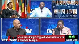 SELON JEUNE AFRIQUE, L'OPPOSiTION CAMEROUNAISE EST LA PLUS B&Ecirc;TE D'AFRIQUE - LIBRE EXP. 31 AO&Ucirc;T 2025