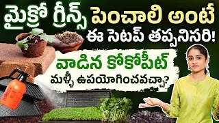 మైక్రో గ్రీన్స్ ఫార్మర్స్ తప్పక చూడాలి! వాడిన కోకోపీట్ మళ్లీ వాడొచ్చా? | Microgreens Setup Secrets