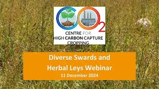 Centre for High Carbon Capture Cropping: Diverse Swards and Herbal Leys webinar