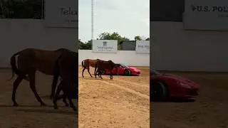 Horses vs Horsepower: Who Wins?