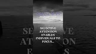 How selective attention shapes perception #selectiveattention #filteringreality #psychologyfacts