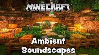 Relaxing Music in Minecraft with Visuals & Rain Throughout🌿 2 HOURS