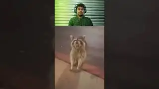 badbudar khana 😅🤣 |Animal funny dubbing |#thomasshelby#jumpstyle#lipsync#dubbing#shorts