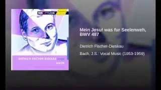Mein Jesu! was fur Seelenweh, BWV 487