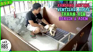 Membuat Kandang ANJING