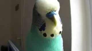 Neues vom Rudilein