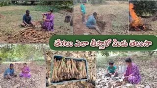 పొలంలో తాటి తేగలు తీసాము 🤔తేగలు గురించి తెలియాలంటే ఈ వీడియో చూడండి 🧐🤫