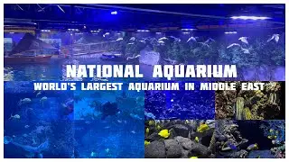 National Aquarium Abu Dhabi | largest aquarium in Middle East | Time with bro and sis