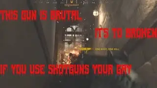 Firedrake shotgun.exe (Call of duty Modern Warfare)