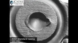 TopMatch-GS 3D Casing Visualization