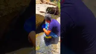 Kuvars şlst ve kayrak taşlarında altın