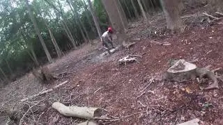 18inch Poplar Tree Felling