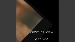 Point of view