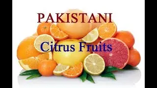 Pakistani Citrus Fruits