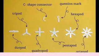 The introduction to 4d Frame