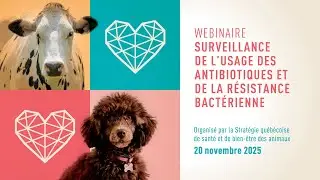 Réduire la résistance aux antibiotiques en pisciculture : notre stratégie contre la furonculose