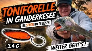 Strike After Strike – Fish Biting Nonstop | Fishing at Tonifórelli Pond 7#Angeln #SchlagAufSchlag