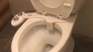 INSTALLING non-electrical &ldquo;bidet toilet attachment&rdquo; (luxe neo 110 120 180 185 320)