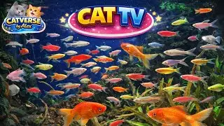 Colorful Aquarium Fish  | Cat TV | Games for Cats to Watch &ndash; Fun Videos Cats Love | 3 Hours