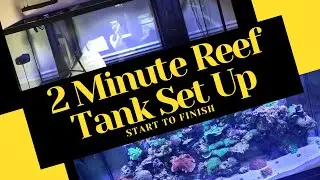 Sexy Reef Tank Build 2 Minutes Fast Motion Start to Finish .. Your Guide to a reef tank setup